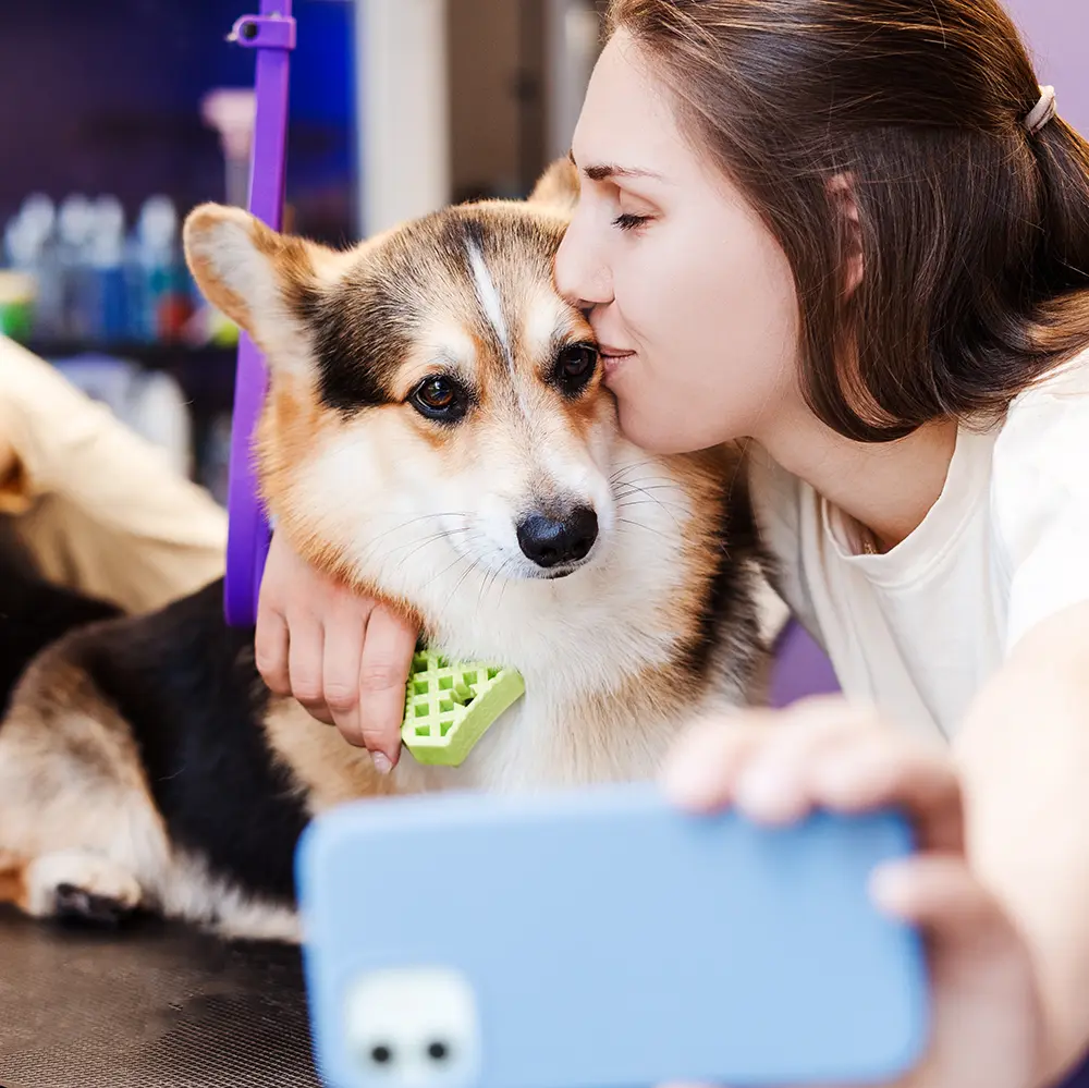 청라 애견 미용실 인테리어